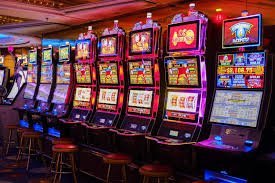 halobet login platform interface showing sports and casino sections